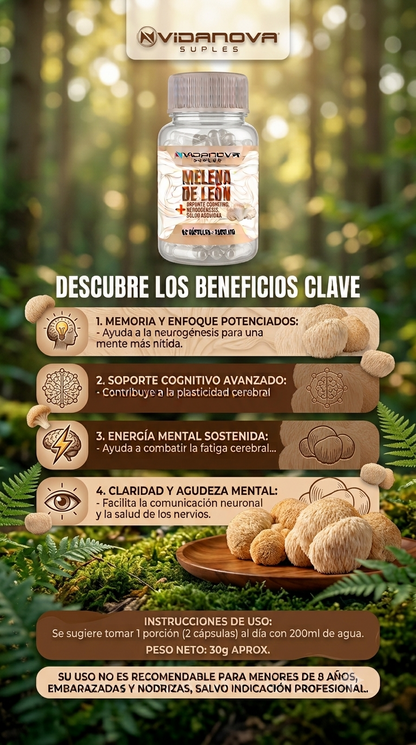 MELENA DE LEON FORTIFICADA